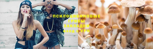 дурь Бородино