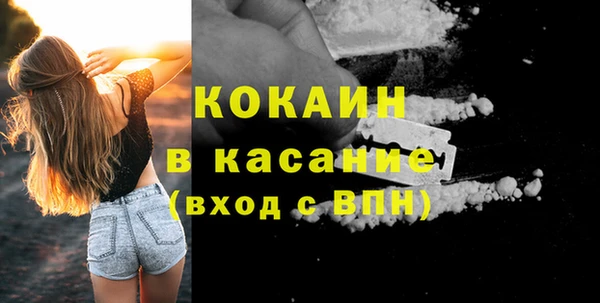 дурь Бородино