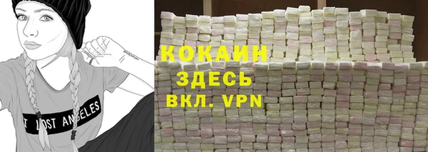 дурь Бородино