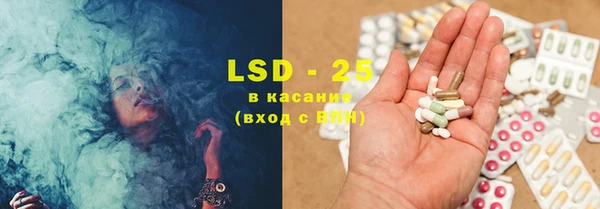 дурь Бородино