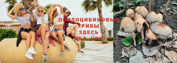 дурь Бородино