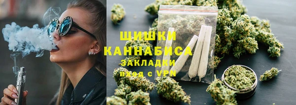 дурь Бородино